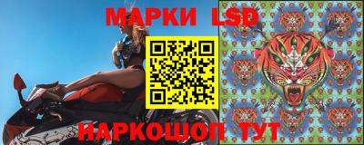 индика Пенза