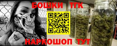 индика Пенза