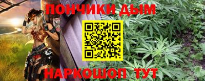 индика Пенза