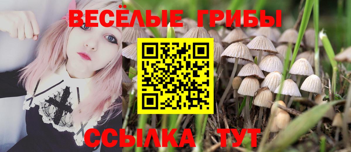 Сочи  Псилоцибиновые грибы Psilocybine cubensis  Псилоцибиновые грибы Cubensis  цены   Вход с VPN 