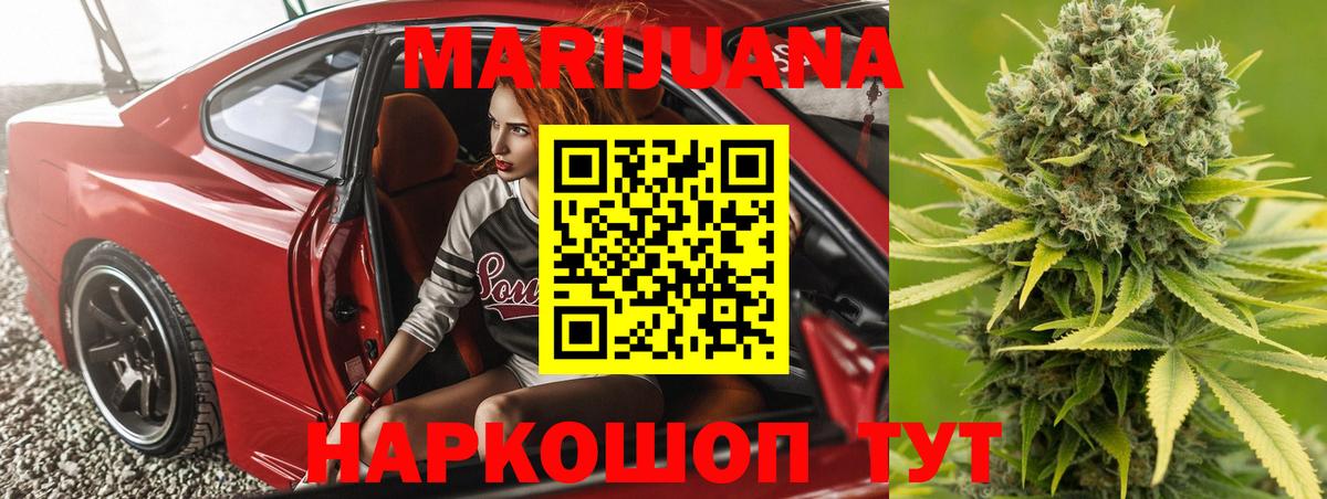 Конопля гибрид Сочи